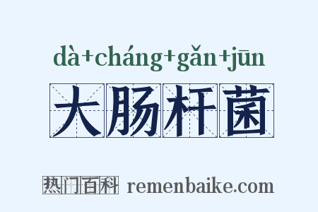 大肠杆菌是什么意思的图片